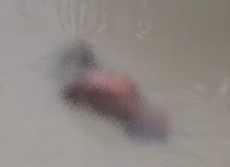 Cadáver com mãos amarradas é localizado sob ponte na Zona Norte de Manaus