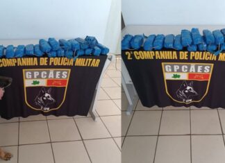 Operação no interior do Amazonas encontra droga em fundo falso de barco e causa prejuízo ao tráfico