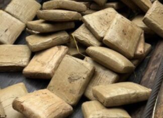 Mais de 3 toneladas de drogas são incineradas pela Polícia Federal no Amazonas