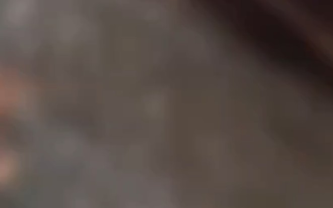 232442