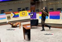 Vereadora travesti do PT realiza evento com desfile LGBT nas dependências da Câmara