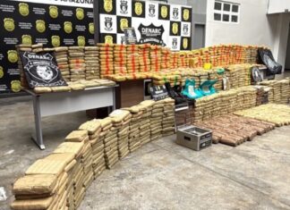 PC apreende cerca de 1 tonelada de maconha após confronto que matou investigador no AM