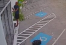Criminoso furta fiação de loja de bolsas e é flagrado por câmeras em Manaus