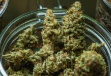 Manaus Empresa é condenada a indenizar trabalhador dispensado por portar maconha
