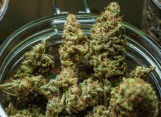 Empresa é condenada a indenizar trabalhador dispensado por portar maconha