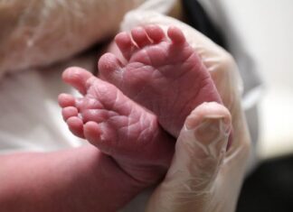 Pais são presos por matar filho recém-nascido e enterrar corpo no quintal de casa