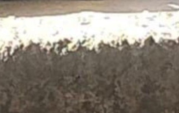 efgnenegm22