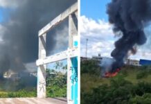 Incêndio em vegetação mobiliza moradores e cobre céu com fumaça na zona norte de Manaus