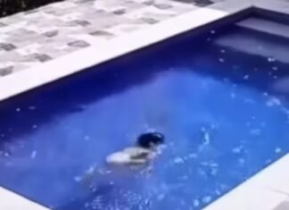 Menina de 3 anos supera limitações, cai em piscina e consegue sair da água sem ajuda