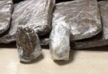 Passageira é flagrada com 3,1 kg de skunk presos ao corpo no Aeroporto Eduardo Gomes, em Manaus