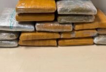 Mulher é presa ao tentar embarcar com 17 quilos de maconha em voo para São Paulo