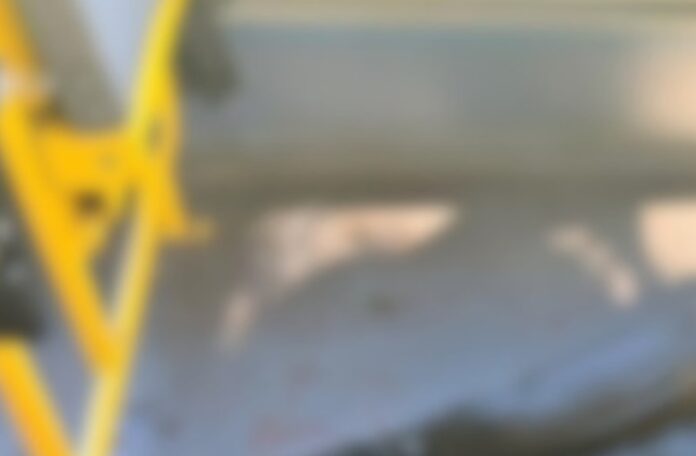 fnefwnwe