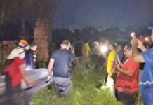 Homem é encontrado morto a tiros em área de mata no interior do Amazonas