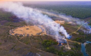 STF dá 15 dias para União apresentar plano de proteção de terras indígenas do Amazonas contra incêndios