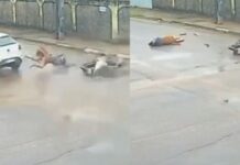 Câmera registra momento em que carro atropela grávida no bairro Nova Canaã