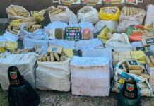 PM apreende 1,5 tonelada de drogas após confronto armado e prende suspeito em Manaus