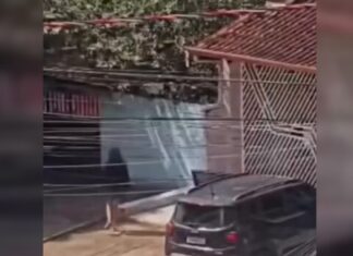 Estudante de medicina é presa após invadir residência de carro e matar idoso atropelado