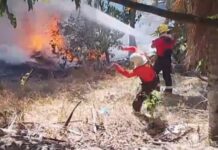 Incêndio mobiliza Bombeiros após atingir região próxima à Reserva Adolpho Ducke