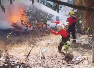 Incêndio mobiliza Bombeiros após atingir região próxima à Reserva Adolpho Ducke