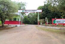 Ataque de onça no Ifam deixa 11 ovinos mort0s e suspende atividades em campus