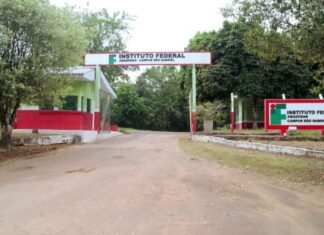 Ataque de onça no Ifam deixa 11 ovinos mort0s e suspende atividades em campus