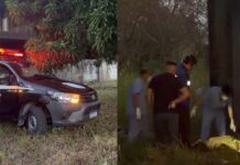 Corp0 em avançado estado de decomposiçã0 é encontrado em terreno abandonado na Avenida André Araújo