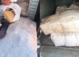 Cerca de 300 kg de entorpecentes são encontrados pela Força Tática na Monte Orebe
