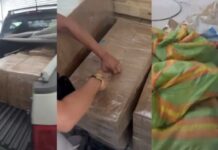 Galpão em Manaus escondia 700 kg de ‘supermaconha’; homem é preso