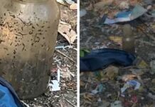 Suposto feto humano é encontrado dentro de recipiente em terreno baldio de Manaus