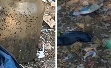 Suposto feto humano é encontrado dentro de recipiente em terreno baldio de Manaus