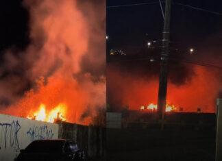 Incêndio atinge área de mata ao lado da Igreja Universal na Constantino Nery, em Manaus