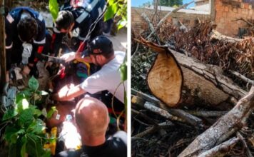 Idoso de 79 anos morre após ser atingido por tronco de árvore em Manaus