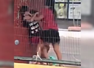 Briga entre mulher e homem é registrada em parada de ônibus no Crespo, em Manaus