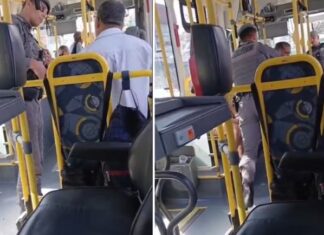 PM usa força para retirar motorista de ônibus de veículo durante abordagem