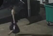 Câmeras flagram mulher levando caixa com bebê para área de lixo antes de criança ser encontrada morta Câmeras flagram mulher levando caixa com bebê para área de lixo antes de criança ser encontrada morta