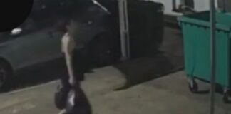 Câmeras flagram mulher levando caixa com bebê para área de lixo antes de criança ser encontrada morta