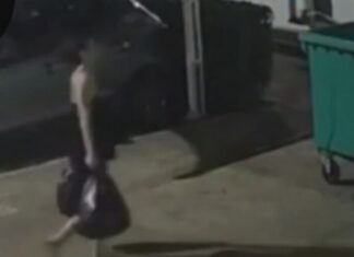Câmeras flagram mulher levando caixa com bebê para área de lixo antes de criança ser encontrada morta