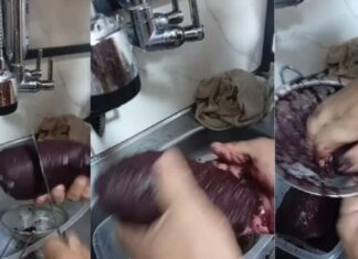VÍDEO: Cliente encontra suposto papel higiênico dentro de açaí comprado na Feira da Panair em Manaus