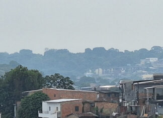 Manaus volta a registrar níveis críticos de poluição nesta quarta-feira, aponta App SELVA