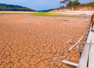 El Niño deixou 38% das áreas habitadas da Amazônia sob forte impacto da seca