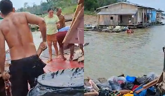 amazonas
