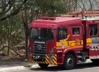 Chamas atingem extensa área verde e mobilizam Bombeiros no bairro Aleixo