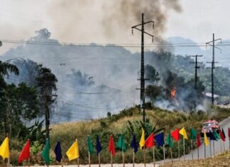 Chamas avançam pela vegetação e chamam atenção de motoristas na AM-070
