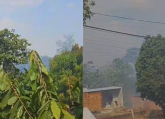 Fogo se espalha por vegetação e assusta moradores do Tarumã Açu, na zona oeste de Manaus