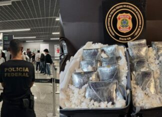 PF intercepta passageira em voo e apreende mais de 18 kg de skunk no Aeroporto de Manaus