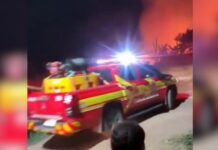 Incêndio criminoso atinge área de mata em Maués no AM