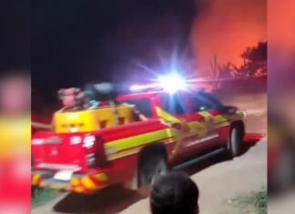 Incêndio criminoso atinge área de mata em Maués no AM