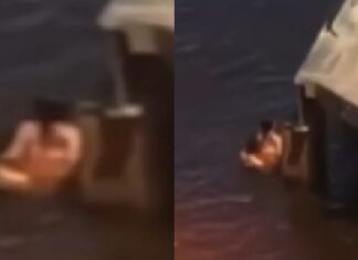 Casal é flagrado em momento íntim0 nas águas do Rio Negro, debaixo da Ponte Rio Negro