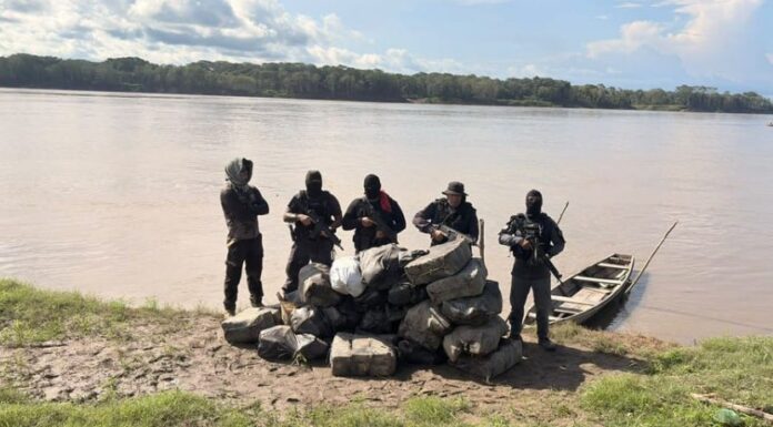 Cerca de 752 quilos de maconha são apreendidos em área de mata no AM