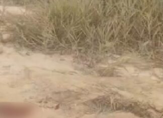 Homem é encontrado baleado e ensanguentado na Zona Leste de Manaus